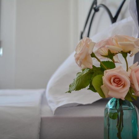 Moraceae Lovely Apartment ティラナ エクステリア 写真